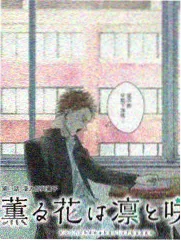 幕后二十四小时 更新期数封面